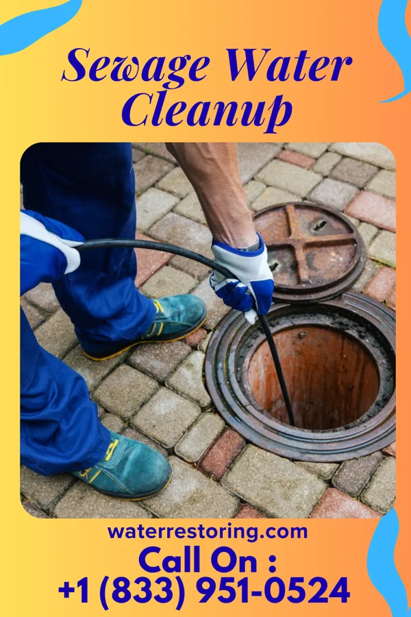 Sewage Water Cleanup in Montrose-Ghent, OH