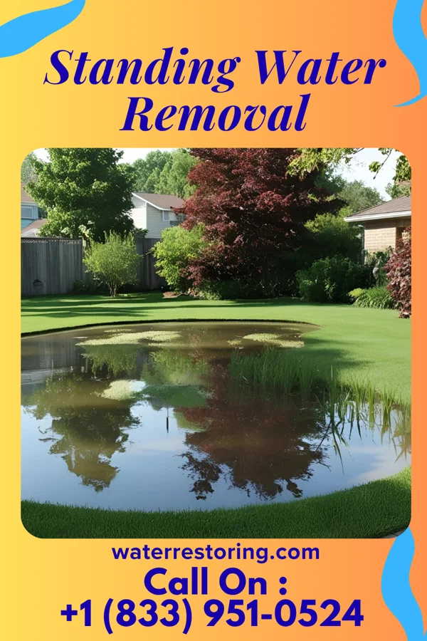Standing Water Removal in Montrose-Ghent, OH